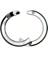 Nose Ring